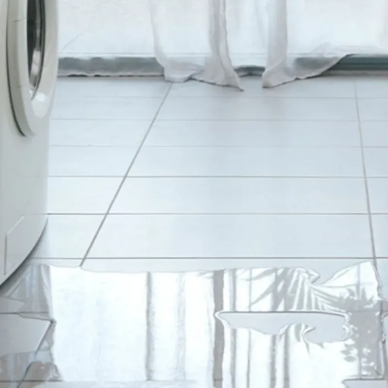 Appliance Leak Cleanup in Pacific, WA