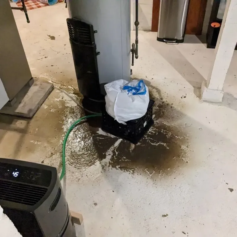 Sewage Backup Cleanup Service in Pacific, WA